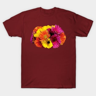 Daisies - Gerbera Daisies Mixed Colors T-Shirt